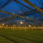 farm lighting